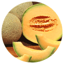 cantaloupe