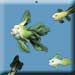 Fish in the water