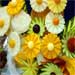 A Flower Bunch
