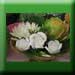 Fruit Vegetable Art