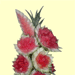 Woderful fruit carving