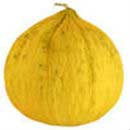 Casaba Melon-summer fruits