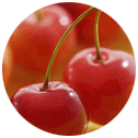 fruits