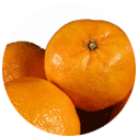 Clementine oranges Cross between Mandarin orange and Orange