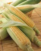 corn