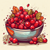 cranberry-fruit