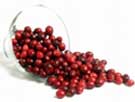 cranberry