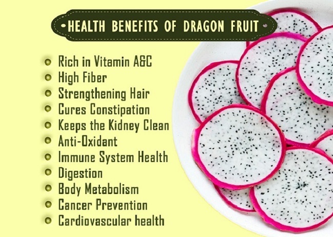Dragon fruit Infographic