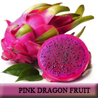 pink dragon fruit