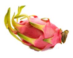 dragon fruits