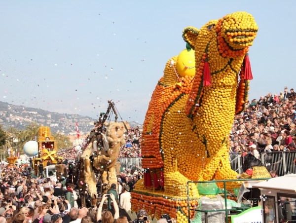 lemon-festival