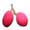 Korlan fruit