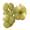 otaheite gooseberry