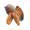 pecan fruit