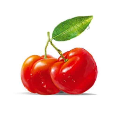 Site SearchAcerola FruitSpecial fruits for this week