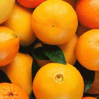 african-cherry-orange-3