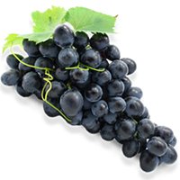American Grape North American Species