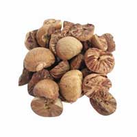betel nut fruit 1