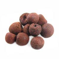 betel nut fruit 3