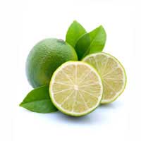 calamansi fruit 1