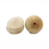 duku fruit 1