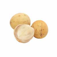 duku fruit 3