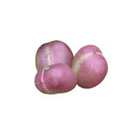 ground plum 1