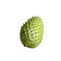 guanabana fruit 2