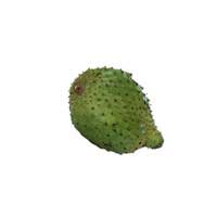 guanabana fruit 3