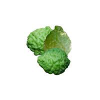 Kaffir lime 2