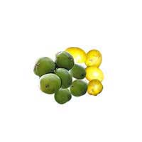 lapsi fruit 2