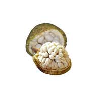 marang fruit 2