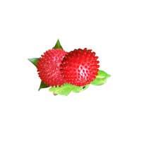mock strawberry 3