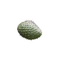 mountain soursop 1