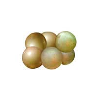 muscadine fruit 3