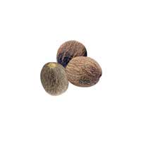 nutmeg fruit 1