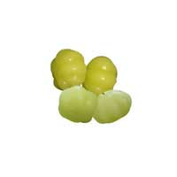 otaheite gooseberry 3