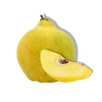 quince fruit 2