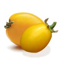 yellow plum 2