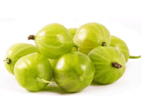 Gooseberry