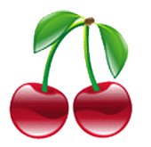 fruits