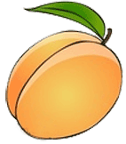 fruits