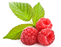 raspberry