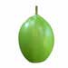 Calabash