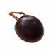Coco Plum