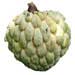 Custard apple