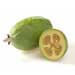 Feijoa Pounamu