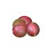 ground plum