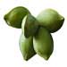 Indian almond