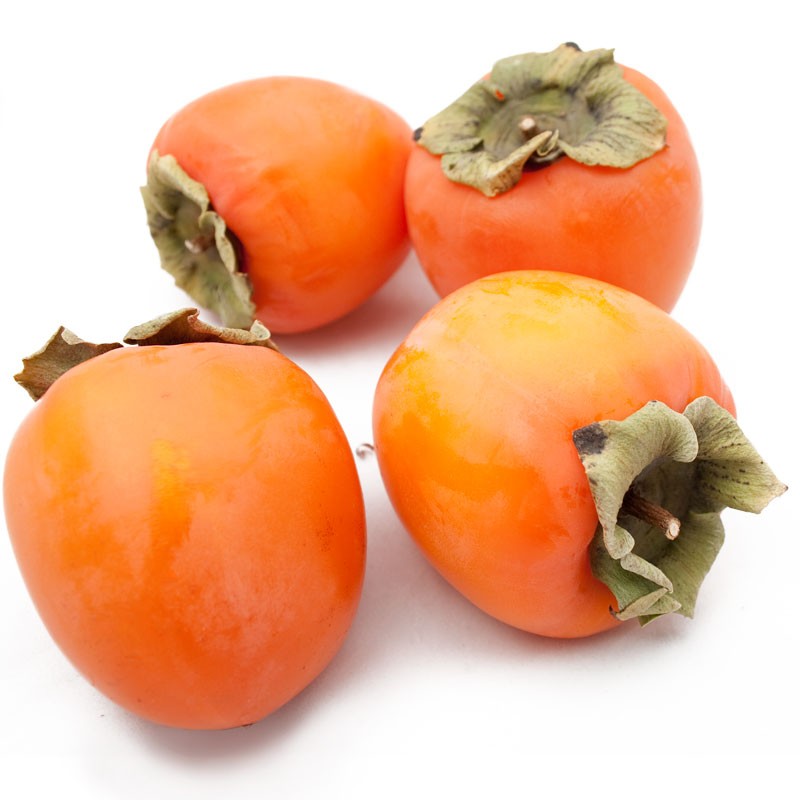 Japanese-Persimmon